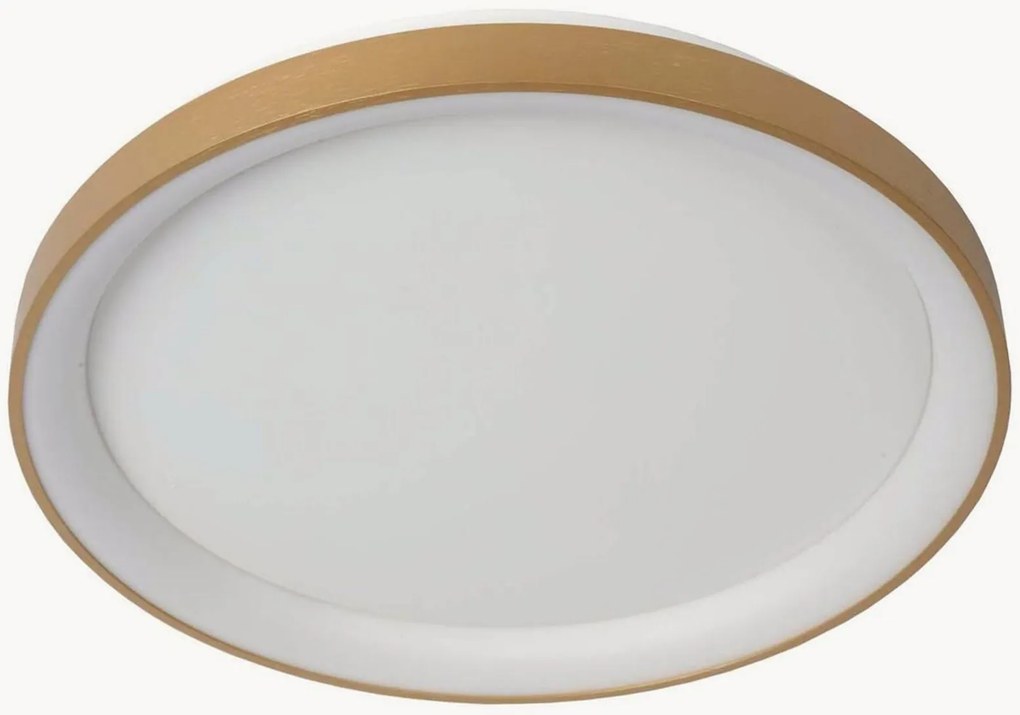 Candeeiro de teto LED regulável Vidal