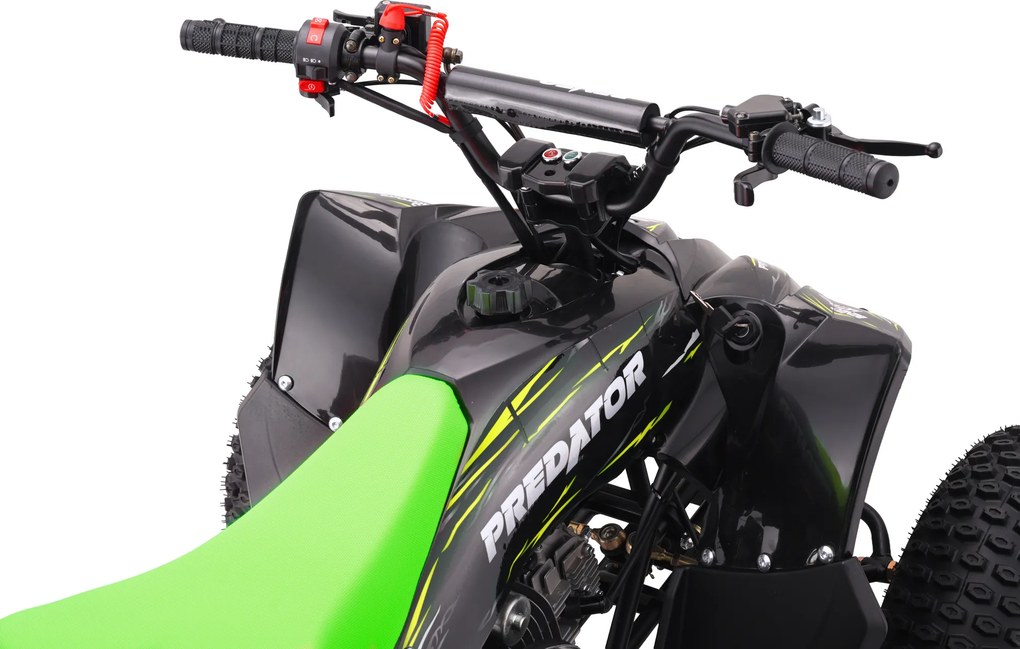 Moto 4 Crianças + 8 anos 125cc - Beneo Predator Até 55 Km/h com limitador Verde