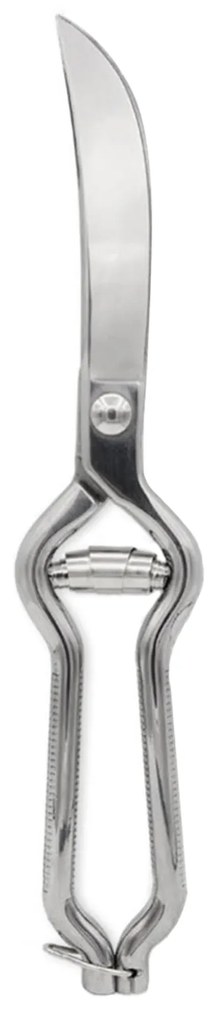 Tesoura Carne Inox Batil 26.2cm