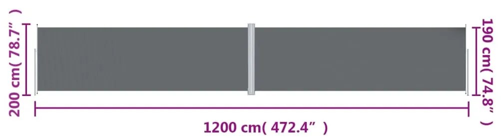 Toldo lateral retrátil 200x1200 cm antracite
