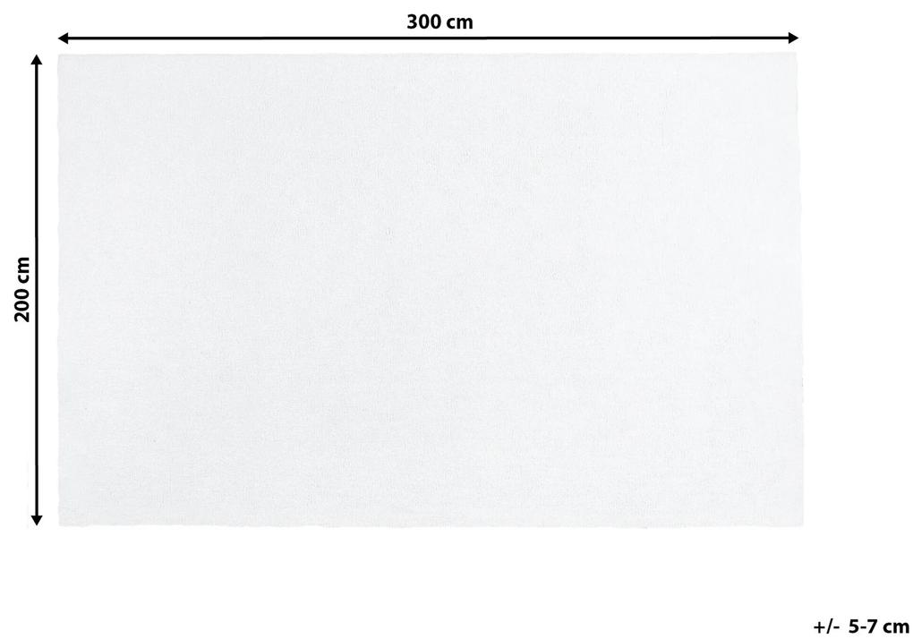 Tapete branco 200 x 300 cm DEMRE Beliani
