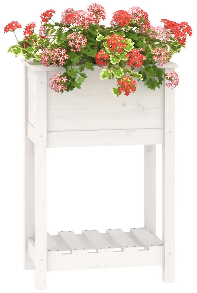 Vaso/floreira com prateleira 54x34,5x81 cm pinho maciço branco