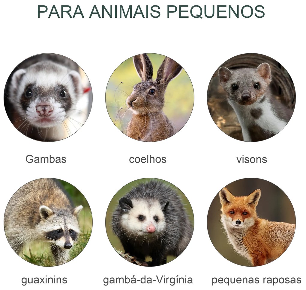 Armadilha para Animais Vivos com Porta Gaiola de Captura com Alça de Transporte para Coelhos 80x25x30cm Verde Escuro