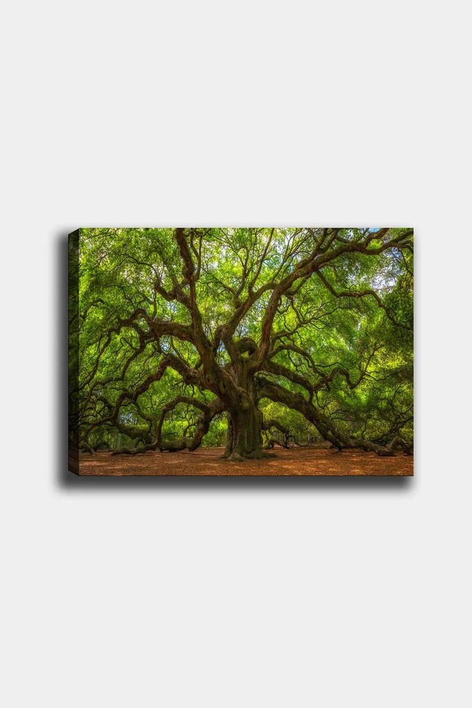 Quadro Decorativo 553671223 – Multicolor – 50 x 70 cm