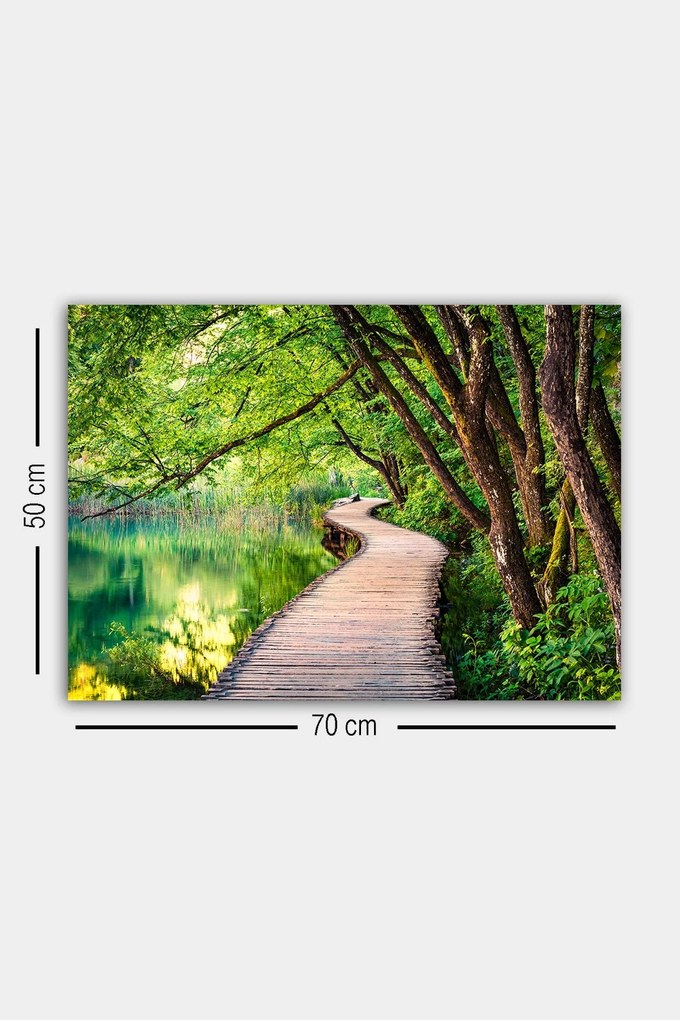 Quadro Decorativo em Tela 668048803 – Multicolor – 50 x 70 cm