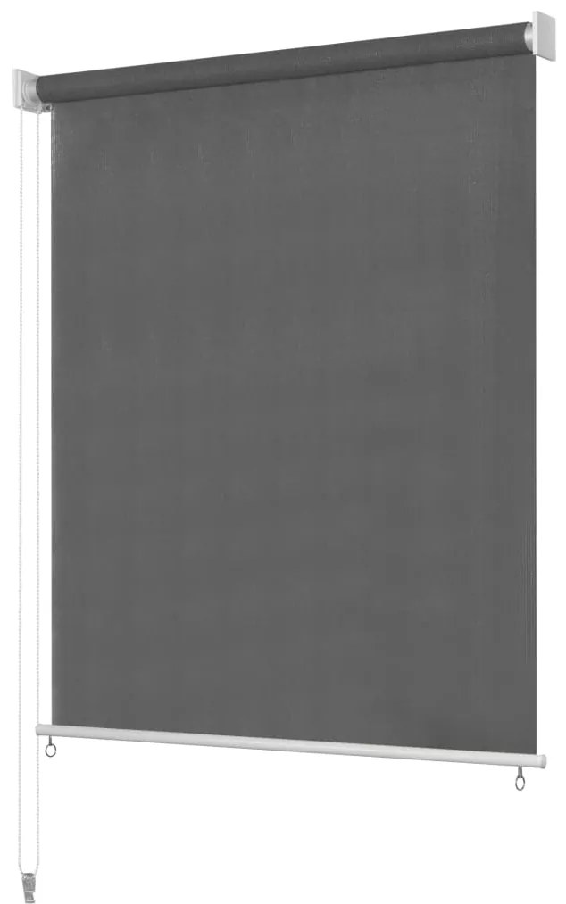 vidaXL Estore de rolo para exterior 200x230 cm antracite