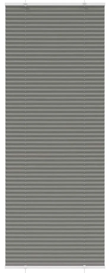 vidaXL Antracite Plissada Cega 80x200 cm Largura Tecido 79,4 cm