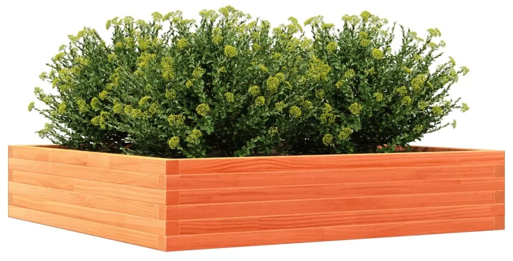 Vaso/floreira de jardim 110x110x23 cm pinho maciço castanho-mel