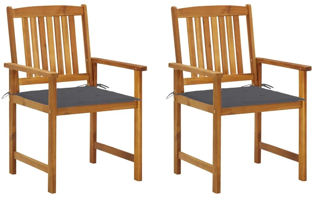 vidaXL Cadeiras de jardim com almofadões 2 pcs acácia maciça