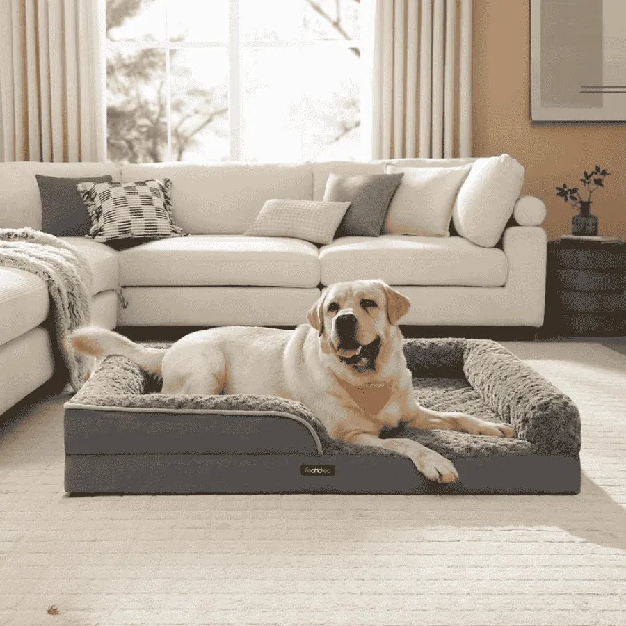 Cama ortopédica 122 x 89 x 18 cm para cães de grande porte Cinza ardósia