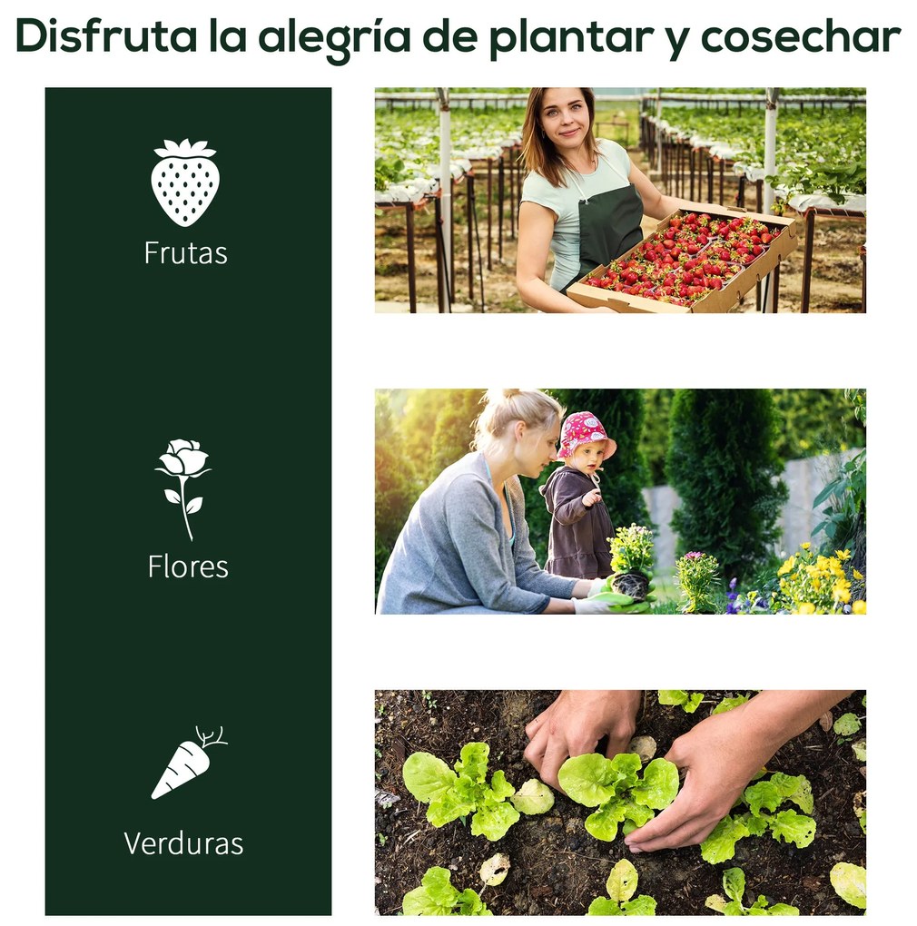 Estufa 200x100x80cm para Jardim Terraço Cultivo de Plantas Estufa com