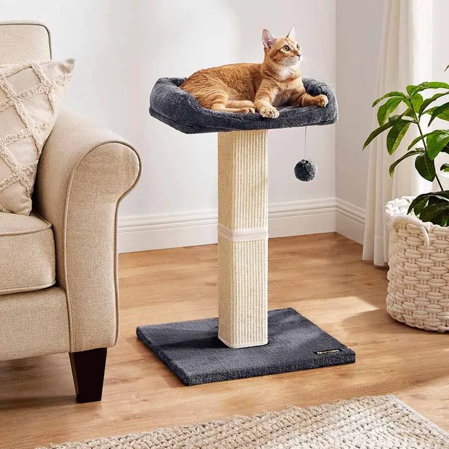 Arranhador para gatos 71 cm com plataforma cinzento escuro