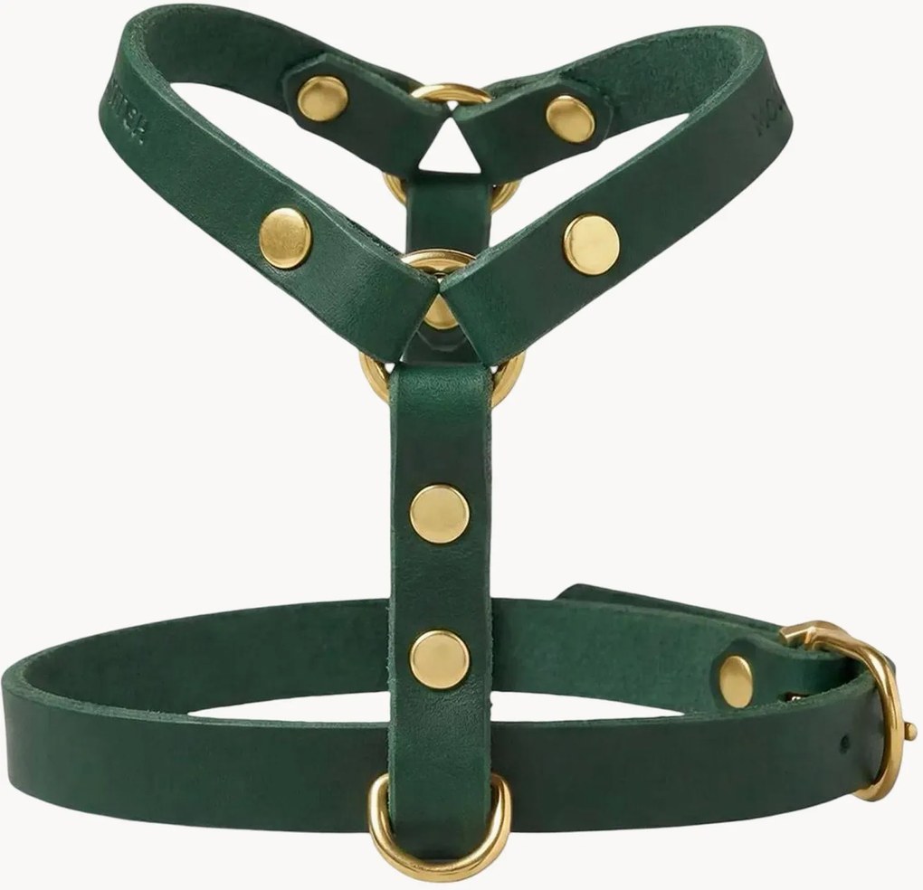 Peitoral para cão em pele Y-Harness, vários tamanhos