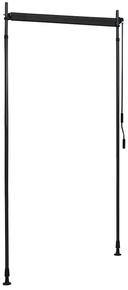 Estore de rolo para exterior 100x270 cm antracite