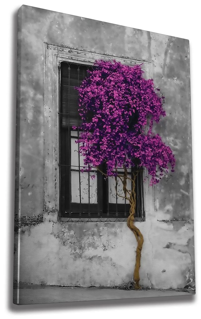 Tela Decorativa WY239 – Multicolor – 50 x 70 cm