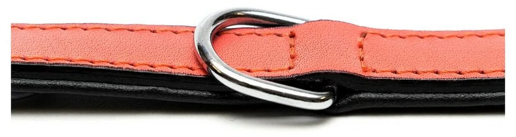 Coleira para Cães Gloria Acolchoado Coral (30 x 1,5 cm)