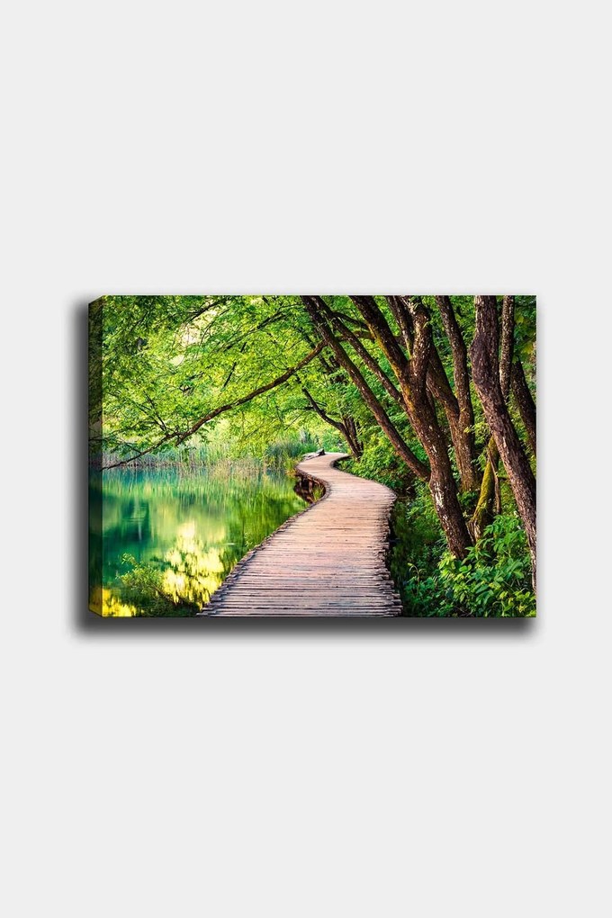 Quadro Decorativo em Tela 668048803 – Multicolor – 50 x 70 cm