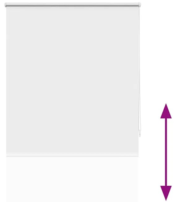 Estore de rolo 80 x 230 cm, Branco