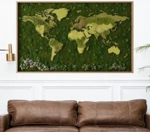 Autocolantes Mapa do Mundo - Floresta de musgo e pormenores naturais