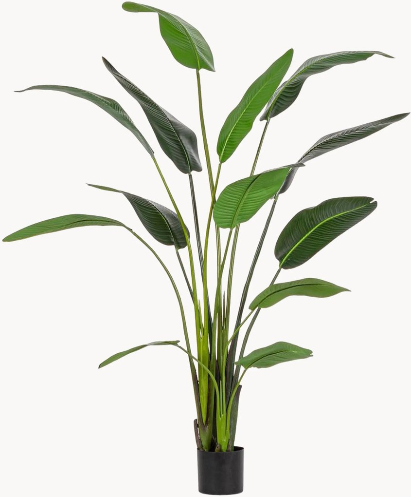 Planta artificial XL Sterilizia