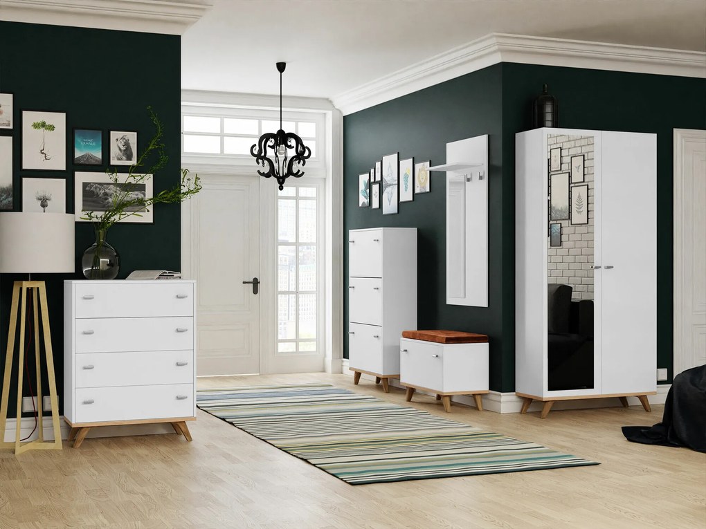 Conjunto de entrada Levtena 105