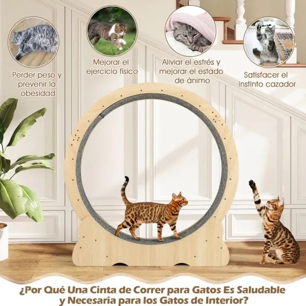 Roda de exercício grande 101 cm para gatos de interior com mecanismo bloqueável, pista almofadada e Estrutura de madeira para uma saúde natural,