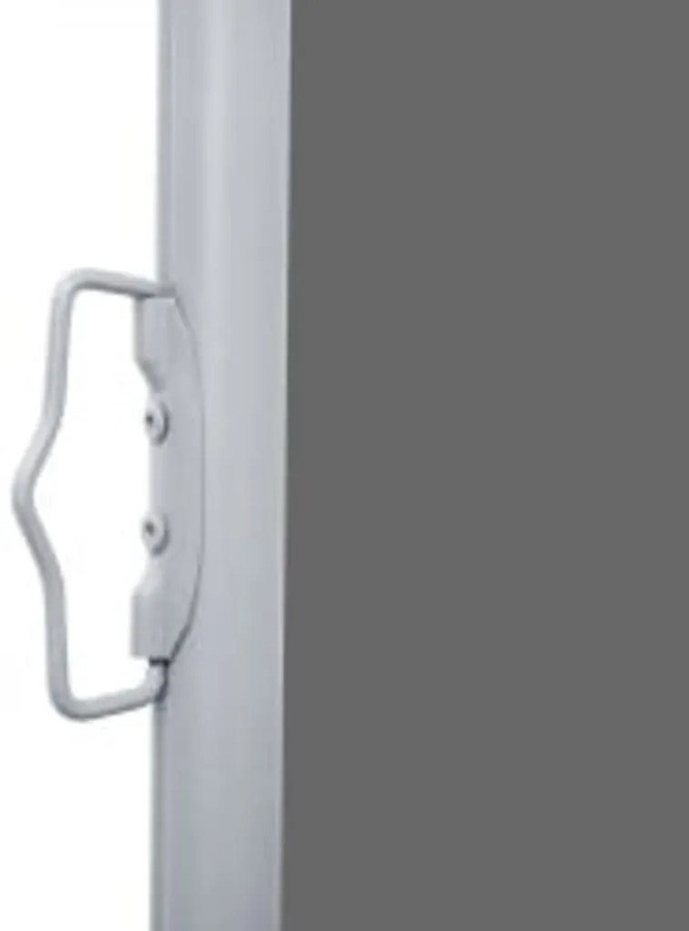 Toldo lateral retrátil 160x600 cm antracite