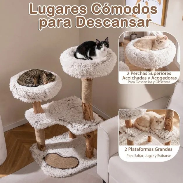 Arranhador para gatos de madeira 48 x 48 x 101 cm com interior boho luxuoso, 2 poleiros almofadados, postes para arranhar, tapete removível natural e