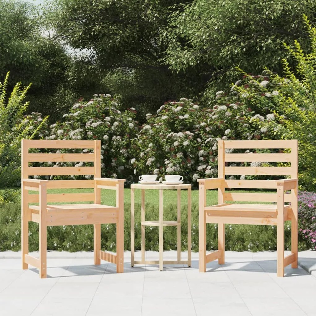 824053 vidaXL Cadeiras de jardim 2 pcs 60x48x91 cm pinho maciço