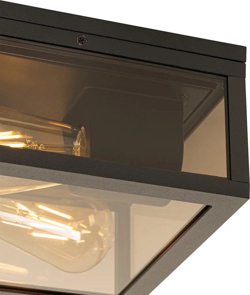 Candeeiro de teto preto com vidro fumê 2 luzes IP44 - Charlois