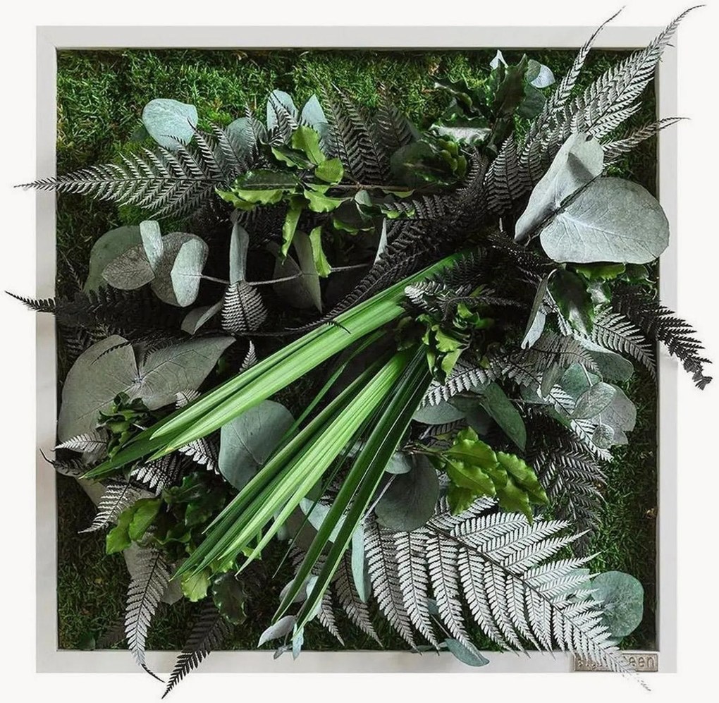 Quadro de parede emoldurado artesanal com design de selva Tropic