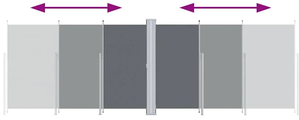 Toldo lateral retrátil 220x600 cm antracite