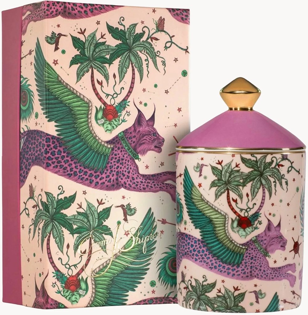 Vela perfumada artesanal em porcelana Lynx (tuberosa, gengibre)