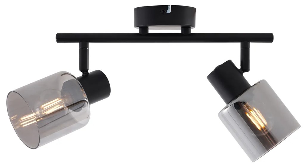 Candeeiro de Teto Moderno Preto com Vidro Fume Redondo 2 Luzes - Cilin