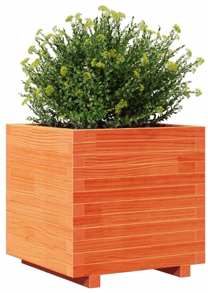 Vaso/floreira de jardim 50x50x49,5 cm pinho maciço castanho mel