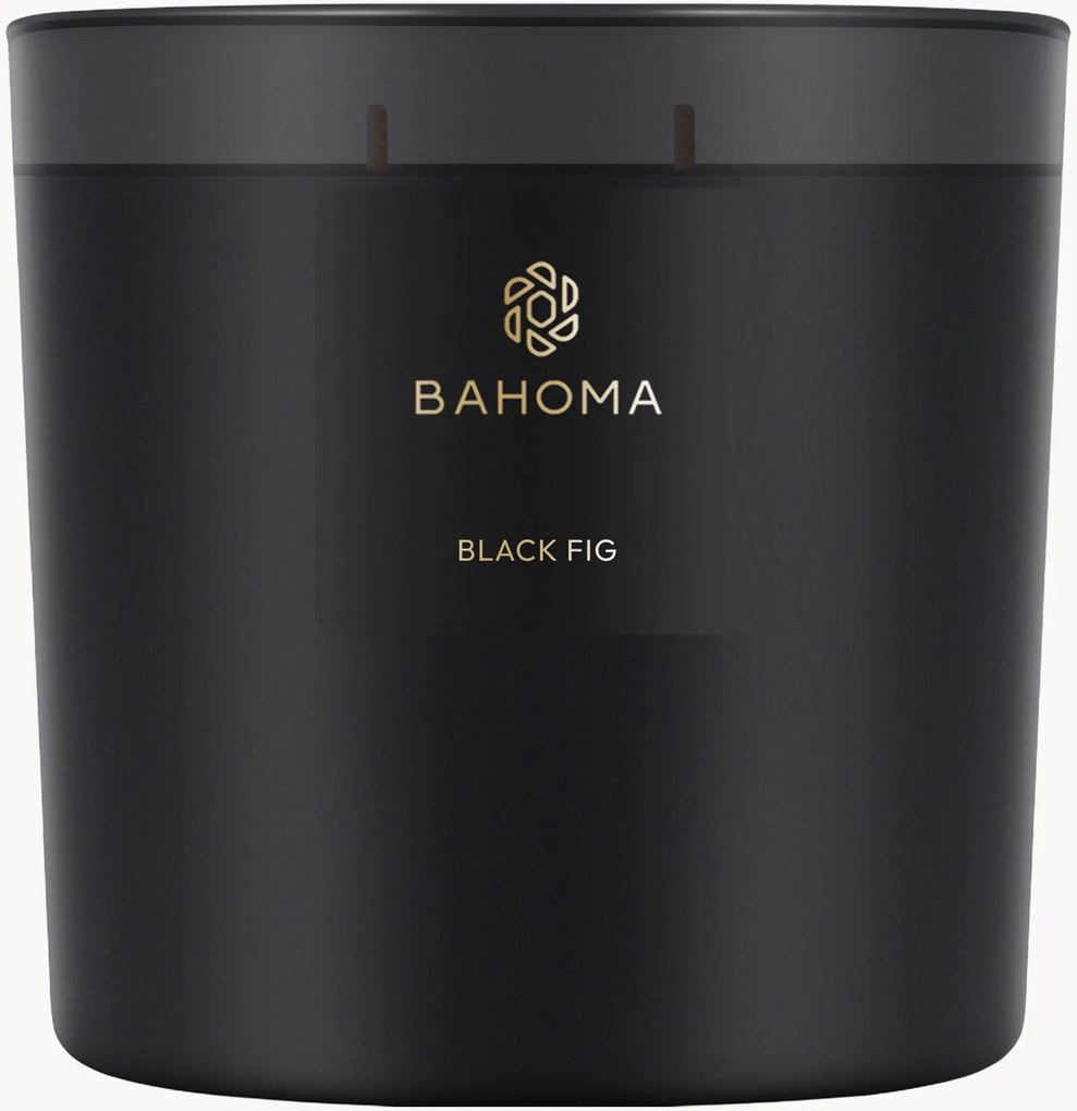Vela perfumada Black Fig (figo, sementes de anis, folhas verdes)