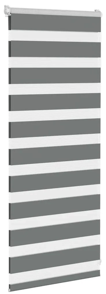 Cortina de zebra 55x100 cm largura do tecido 50,9 cm poliéster