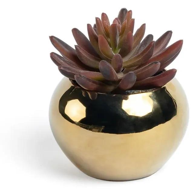 Kave Home - Planta artificial Sedum lucidum em vaso de cerâmica dourado