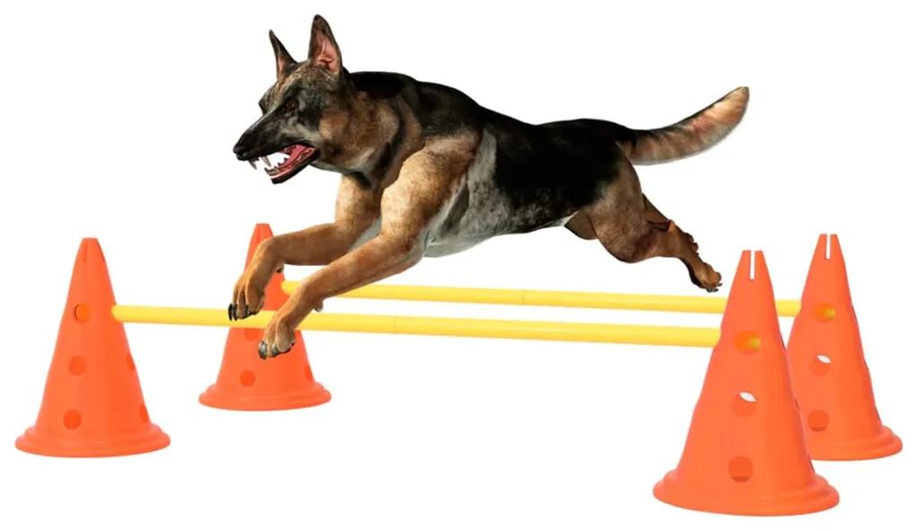 Conjunto de obstáculos para atividades caninas laranja/amarelo