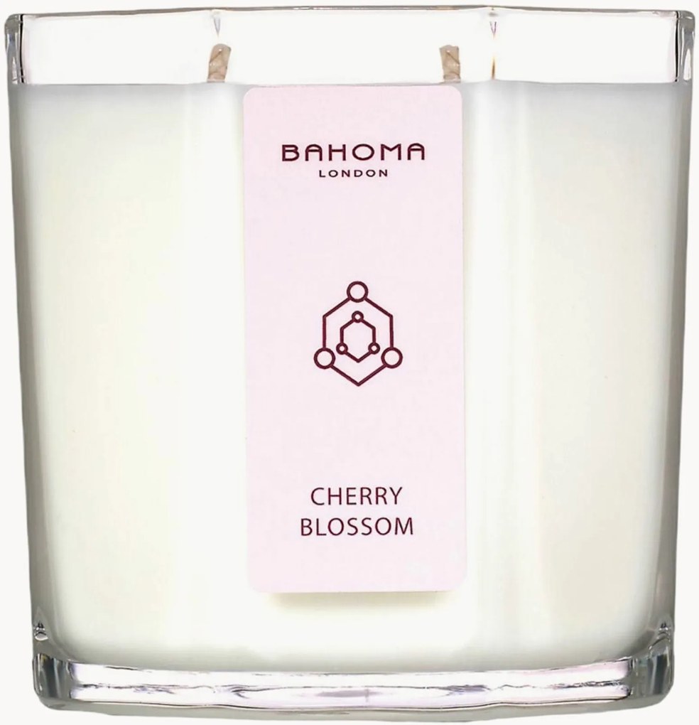 Vela perfumada artesanal de dois pavios Delightful Symphony (flor de cerejeira)