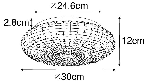 Candeeiro de teto clássico preto com vidro opalino 30 cm IP44 - Nohmi Clássico / Antigo