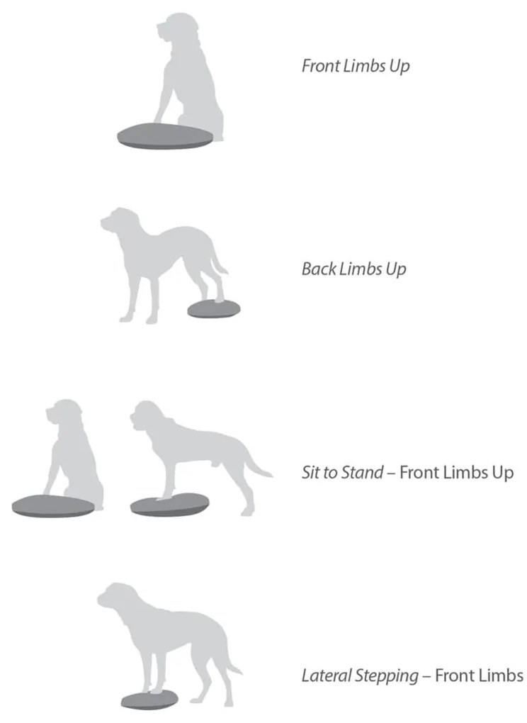 Disco de equilíbrio para animais de estimação 36 cm azul