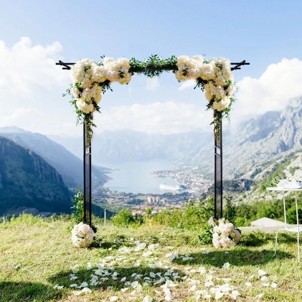 Arco de Jardim de Metal para Várias Plantas Trepadeiras e Vinhas Pérgula de Pátio para Festa 208 x 52 x 208 cm Preto