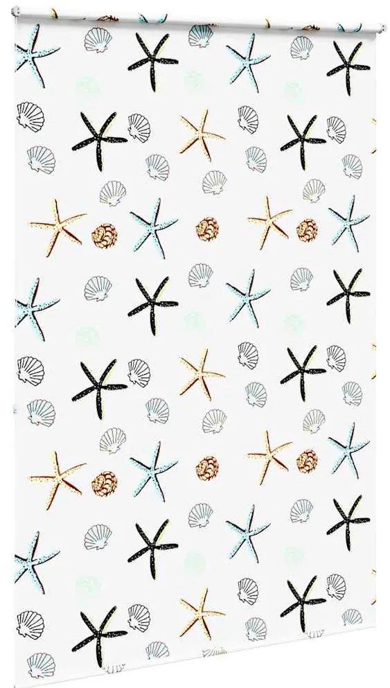 Rolo de Duche Estores 160x240 cm Largura Tecido 156 cm