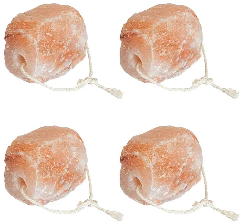 vidaXL Pedras de Sal para Lamber 4 pcs Rosa Sal de Rocha