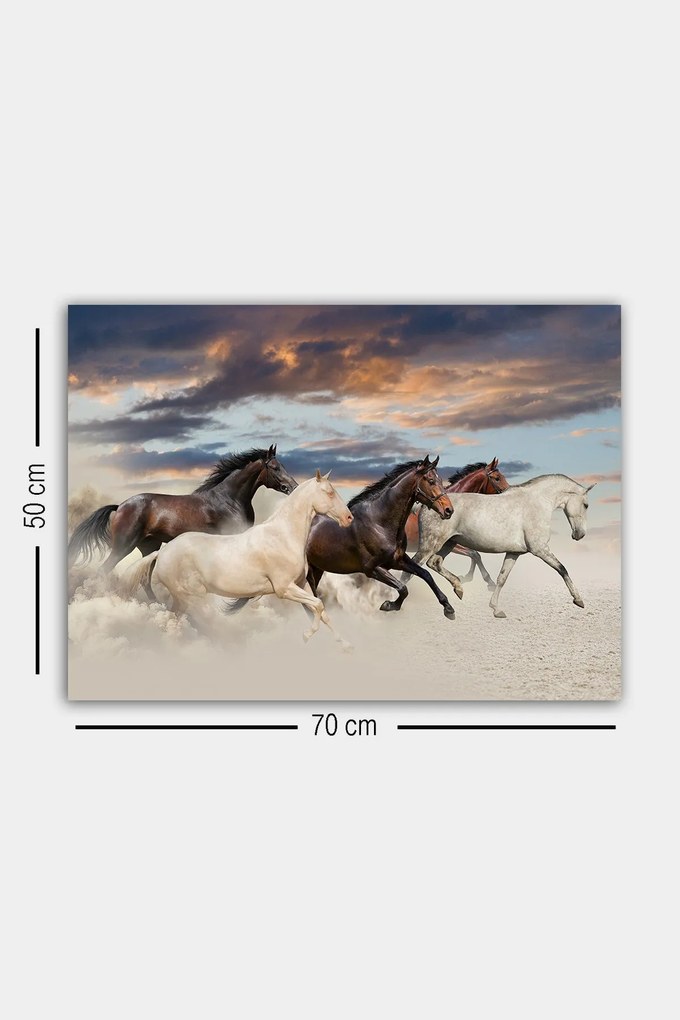 Pintura Decorativa em Tela 310236866 – Multicolor – 50 x 70 cm