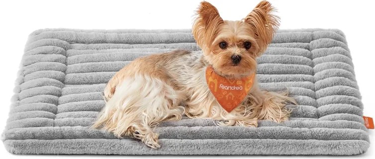 Manta para cães S 75 x 50 cm lavável na máquina cinzenta