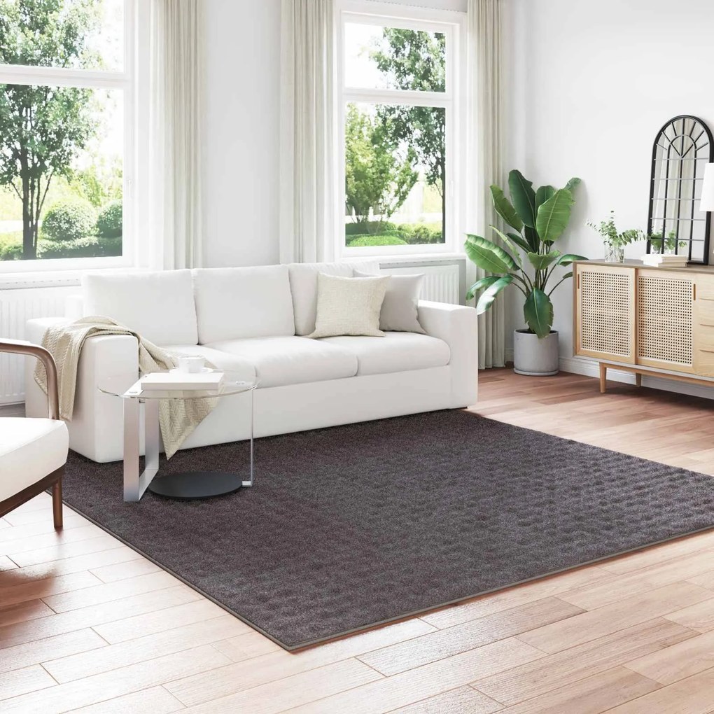 vidaXL Tapetes de área Quadrado HUARTE Antracite 240 x 240 cm