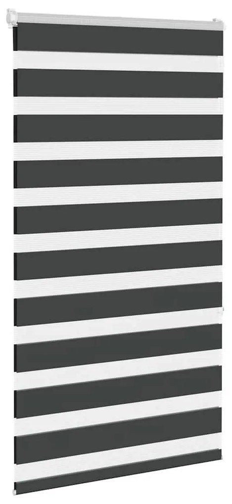 Cortina de zebra 75x150 cm largura do tecido 70,9 cm poliéster