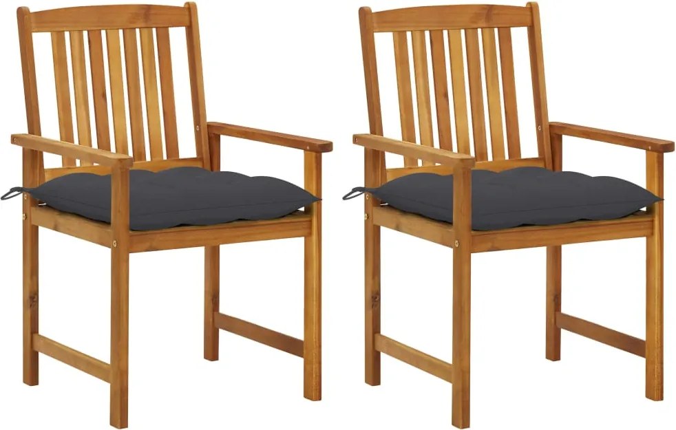 vidaXL Cadeiras de jardim com almofadões 2 pcs acácia maciça
